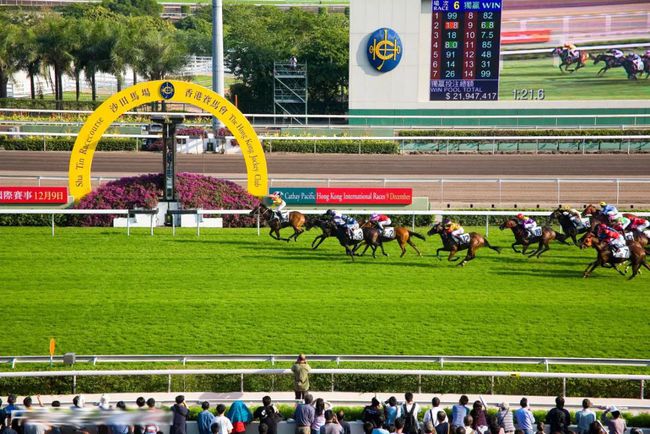 澳门赛马，历史、文化与激情的碰撞