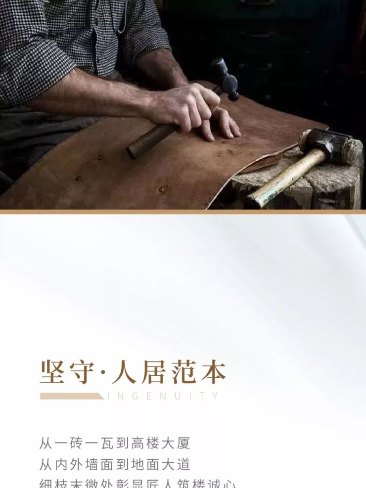 澳门今晚精准一码，揭秘背后的概率与策略