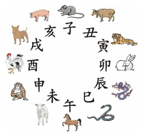 探索一码与生肖的奥秘，精准资料应用在生活及娱乐中的奇妙之旅