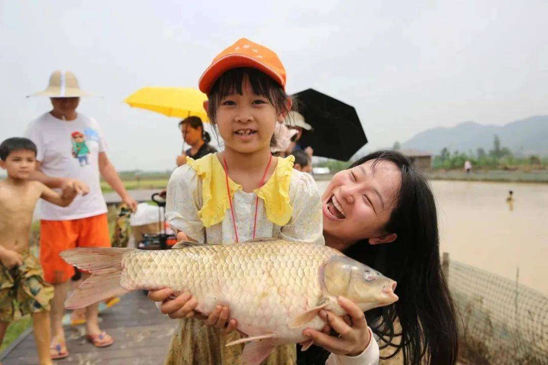 探索网络社区的活力之源，小鱼儿论坛的故事