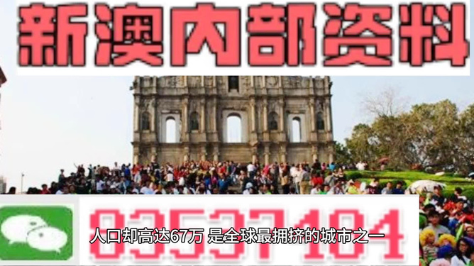新澳门资料大全，正版资料的权威指南与深度解析