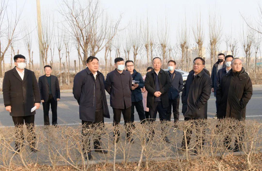 空气污染的严峻现状与应对策略，一份深度报告