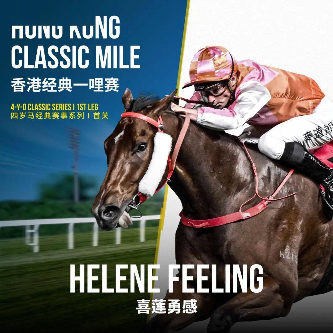 香港马会开奖结果直播的魅力与影响