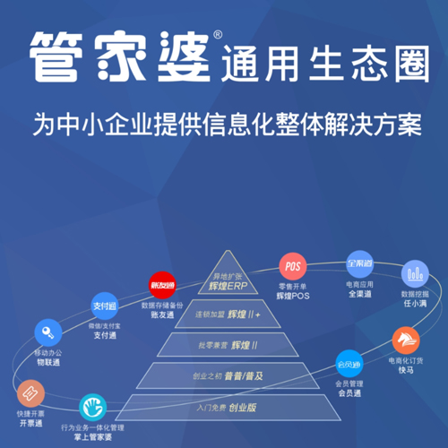 管家婆全年资料，企业运营的智慧之眼
