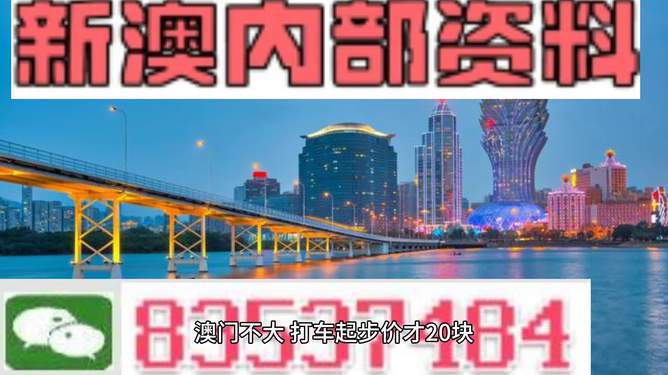 2036年，展望未来，澳门资料免费大全的革新与挑战并进之路