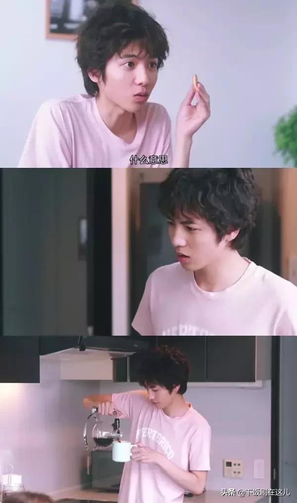 探索小狼狗心水论坛，一个独特的宠物爱好者社区
