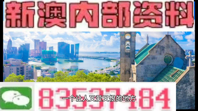 2046新澳正版资料，最新更新与未来展望