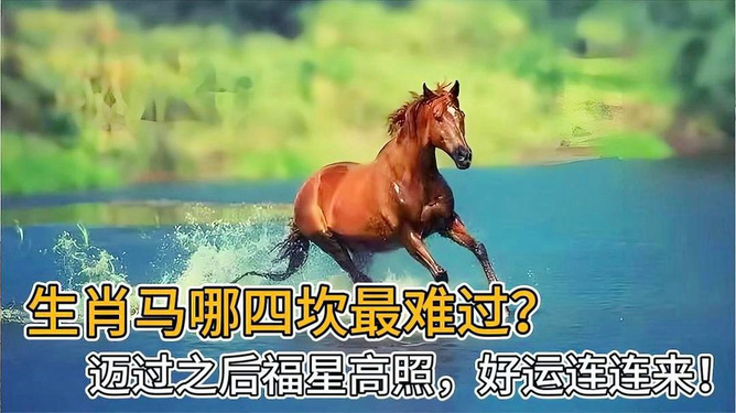 今日特马揭秘，探寻幸运的奥秘