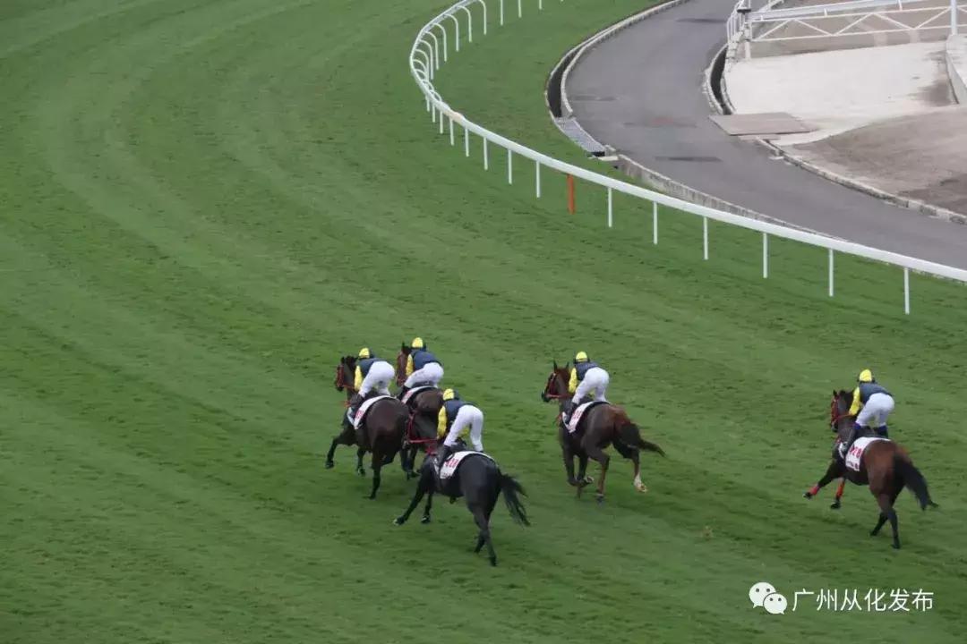 探索香港马会内部免费资源的丰富宝藏