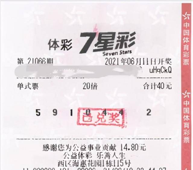 今期新澳门开奖结果记录，透视彩票背后的数字与概率