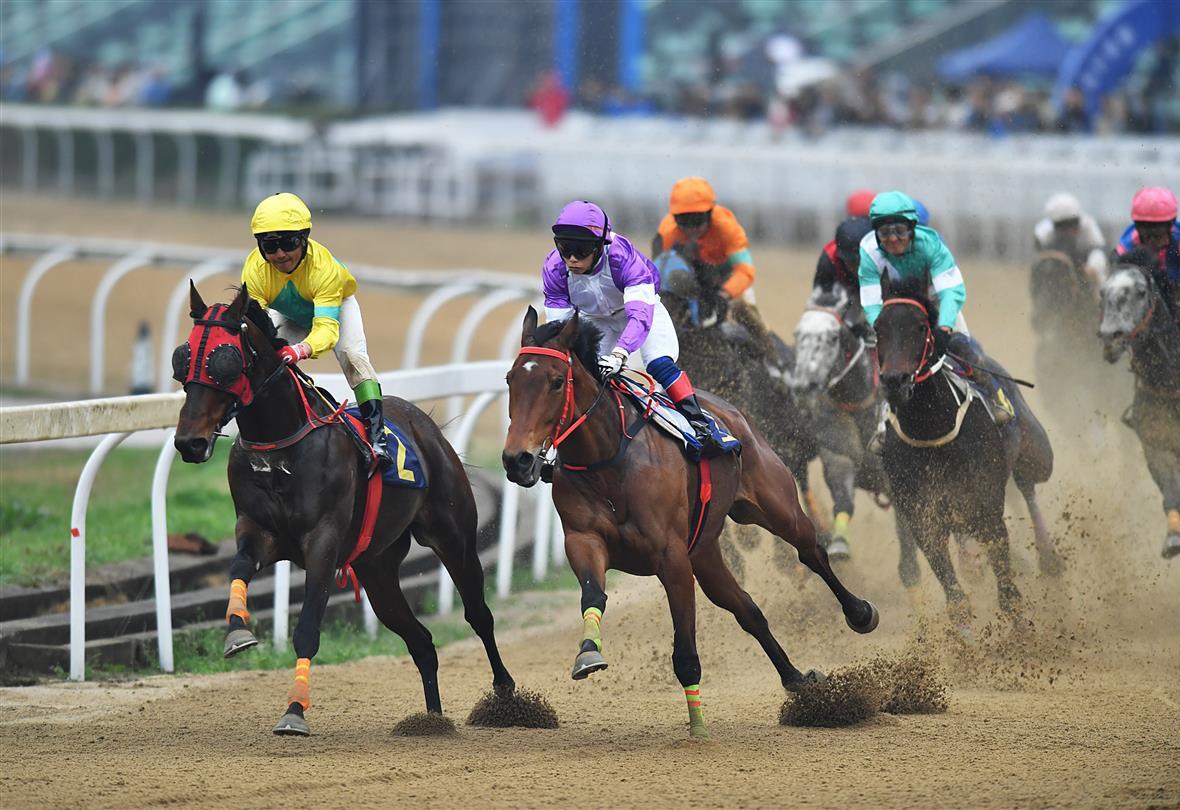 2019年香港马会今期开奖，公益与娱乐的完美结合