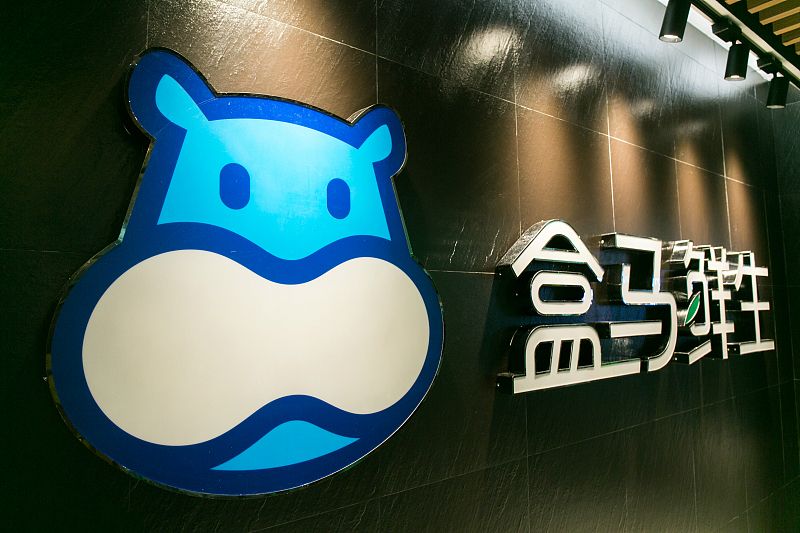 2019年今日特马结果，一场数字与梦想的碰撞