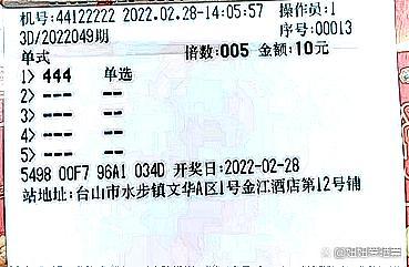 204年新澳门开奖结果查询，揭秘未来彩票的数字游戏