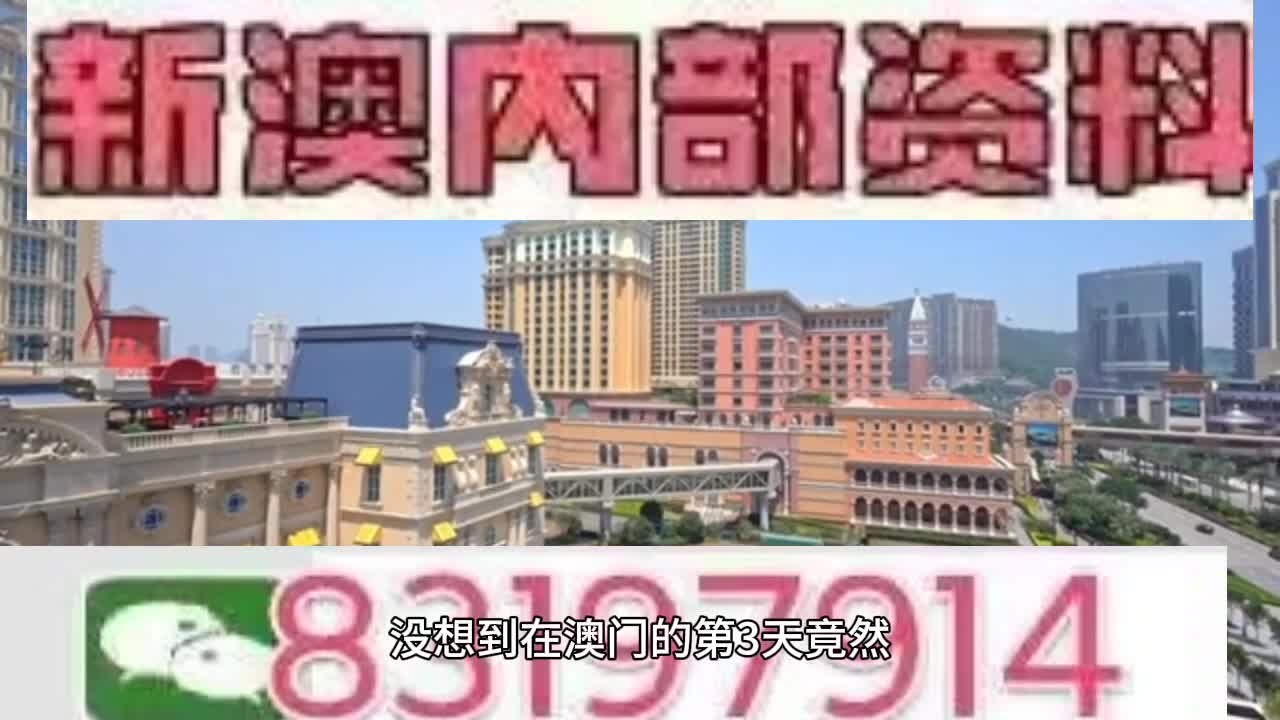 澳门特马，203年今晚开奖的神秘与期待