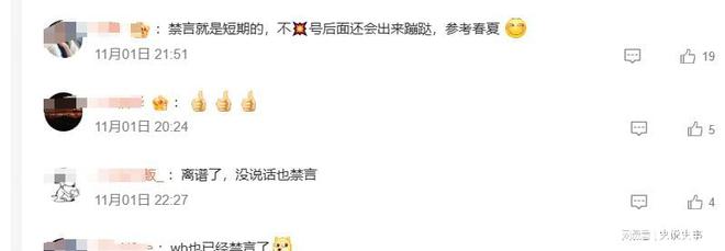 揭秘马报开奖结果，一场数字与概率的奇妙之旅