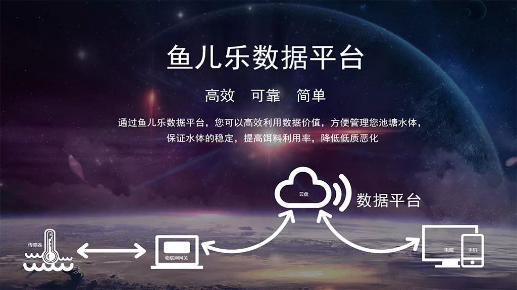 探寻小鱼儿心水论坛，网络时代的智慧与乐趣