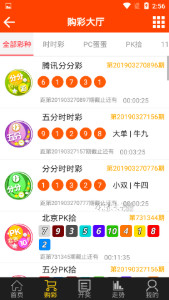 今晚开奖揭秘，2019年彩票资料全解析