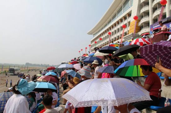 探秘香港马会开奖现场，一场视觉与激情的盛宴