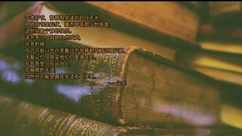 2046年澳门