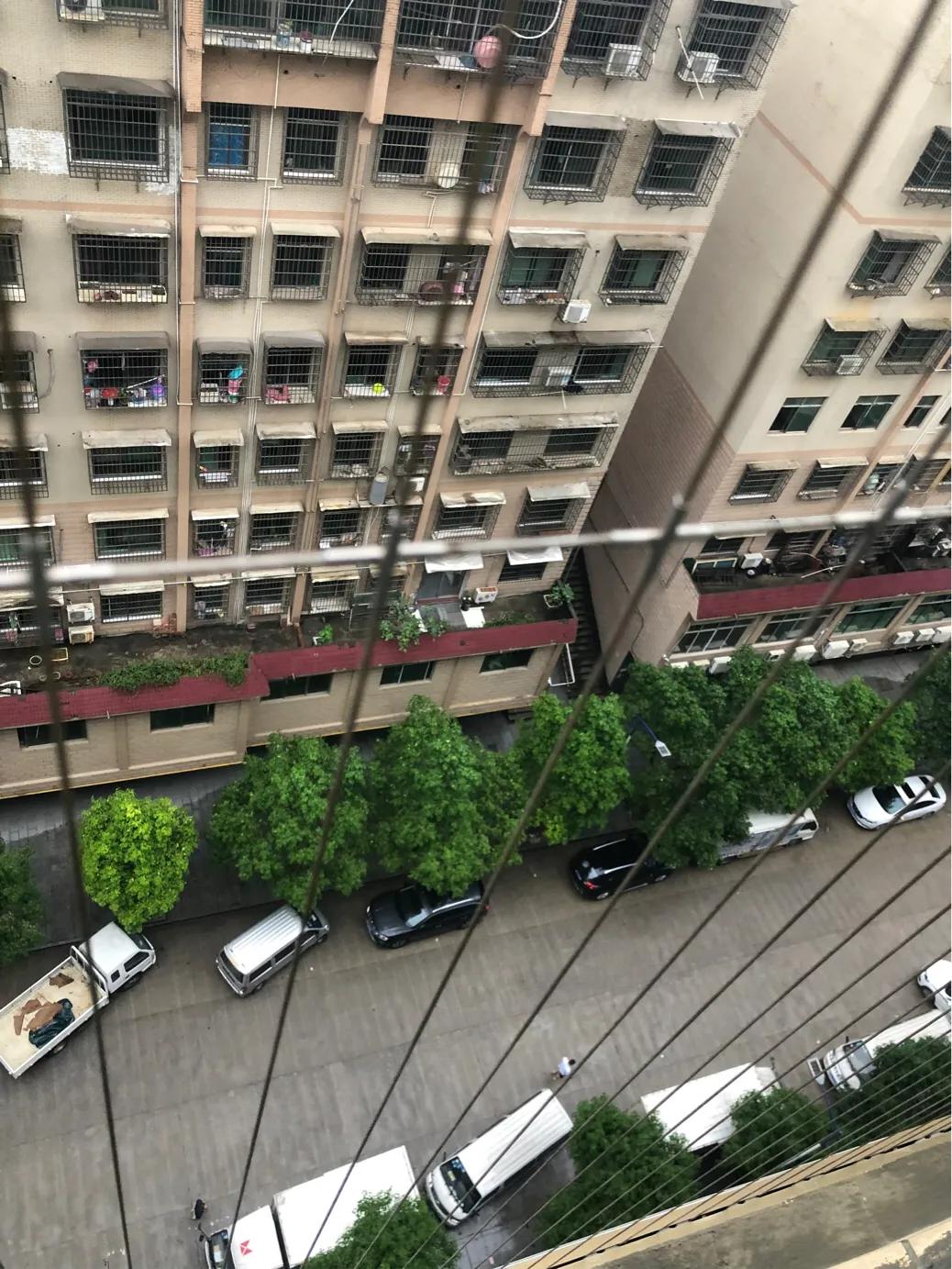 探索香港四不像图，文化、艺术与创意的奇妙融合
