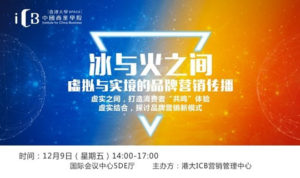 彩之网互动区，构建虚拟与现实交融的社交新体验