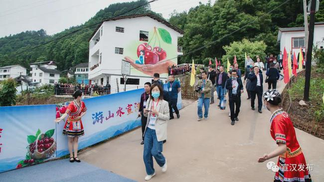 管家婆论坛，企业管理的智慧交流平台