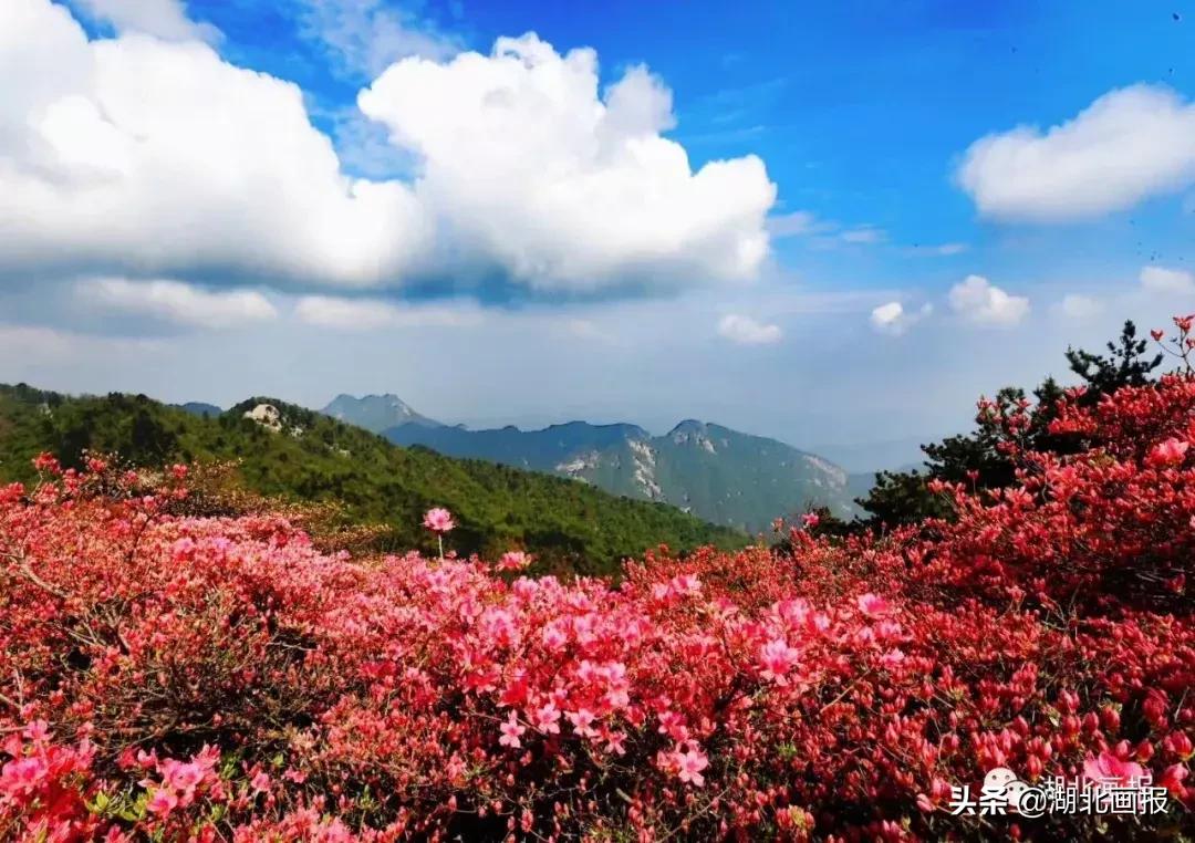 探索数字世界的视觉盛宴，图库天下的无限魅力