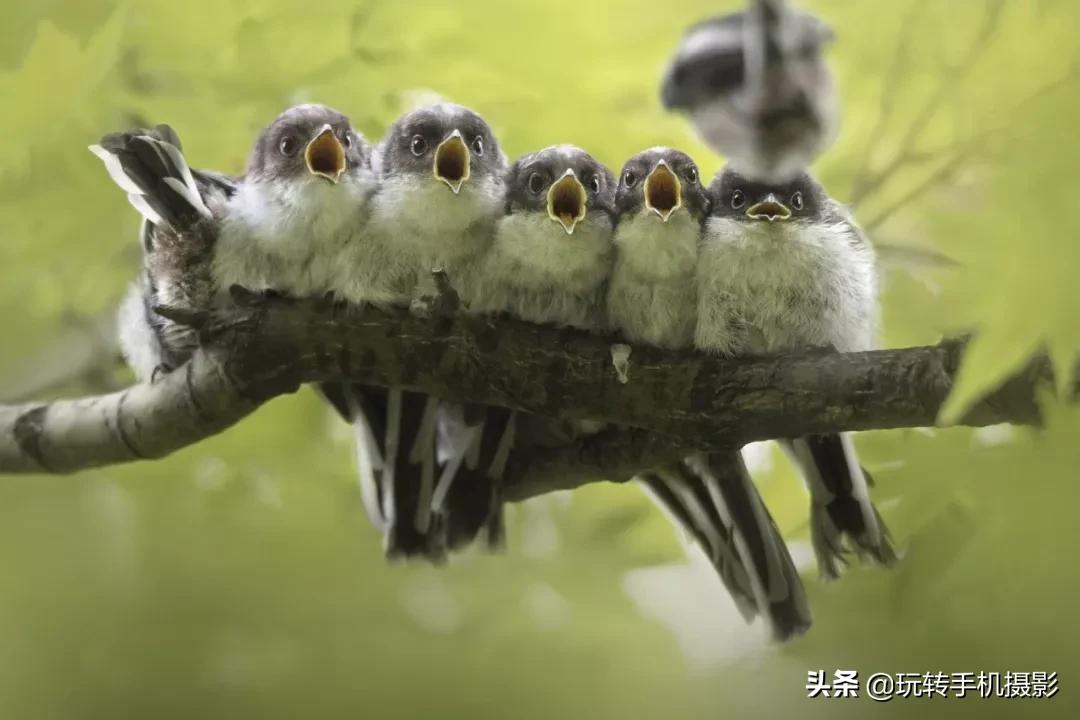 2019全年开码结果记录，数字的交响曲，幸运与希望的见证