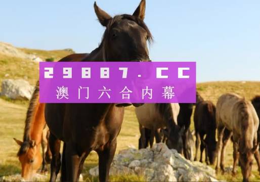 澳门管家婆免费资料，深度解析其独特魅力与特点