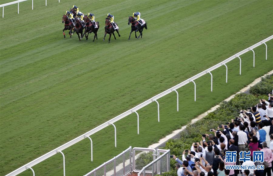2018年香港马会资料大全，赛驹风云，尽在此间