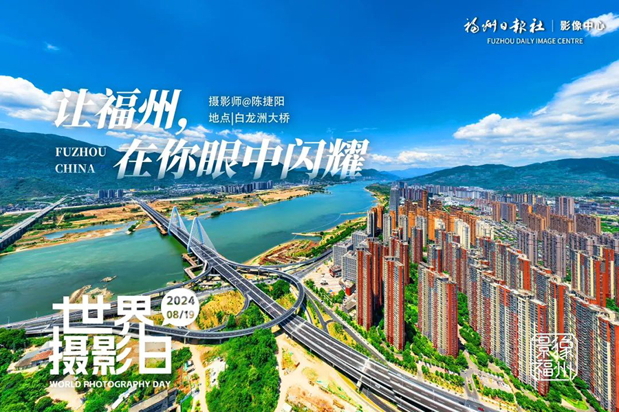 探索红姐198图库，数字背后的多彩世界