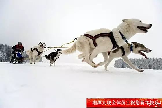 产品介绍 第28页