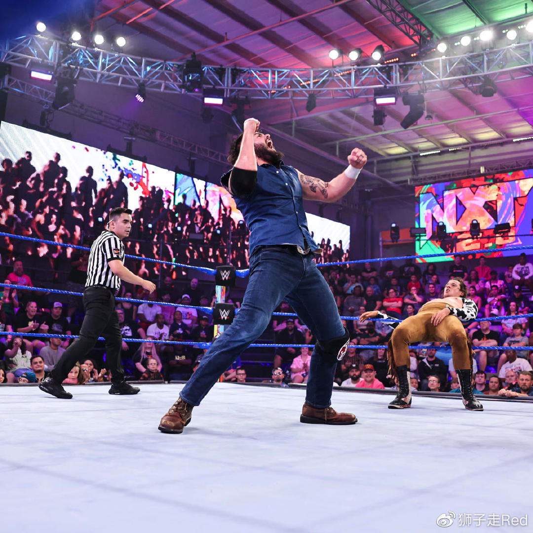 2014年WWE最新赛事，激情与荣耀的碰撞