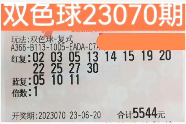 澳门2035开奖结果记录，透视未来彩票市场的趋势与影响
