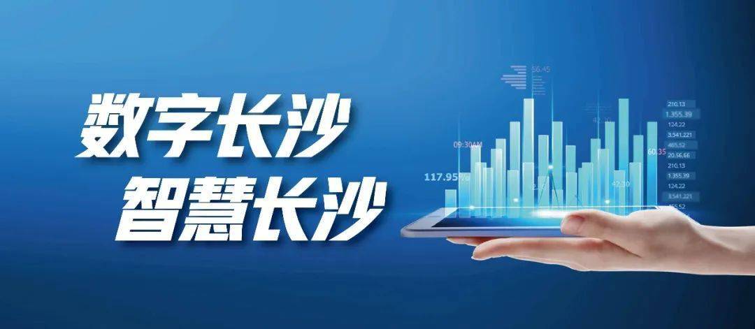 澳门2035，未来展望与智慧城市新篇章——精准预测的探索与实践（虚构内容）