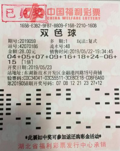 揭秘澳门六特马资料，免费大奖背后的真相与风险