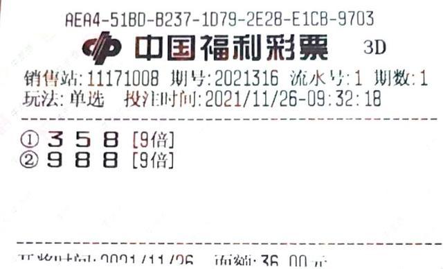 揭秘中特一肖背后的真相，理性看待彩票与娱乐的界限——以非技术性分析为视角