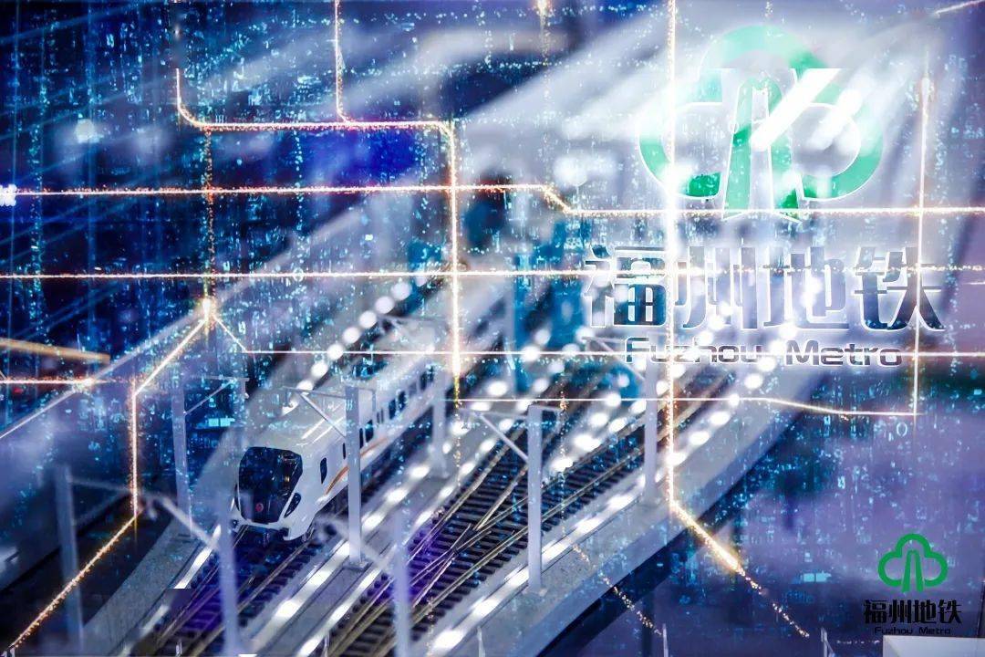 探索期四肖选一的奥秘，理性与智慧的博弈