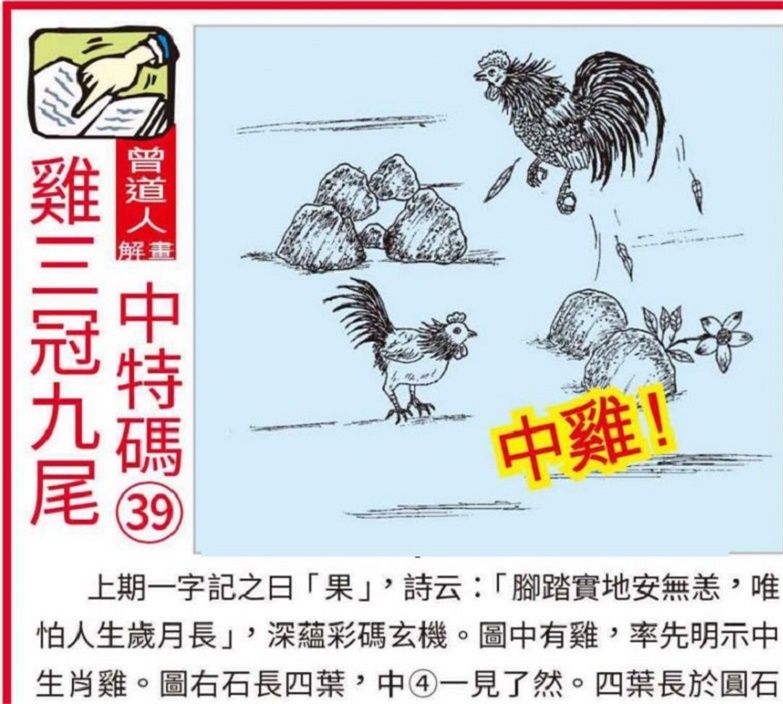 澳门正版马会精选资料大全，揭秘澳彩投注的智慧与策略