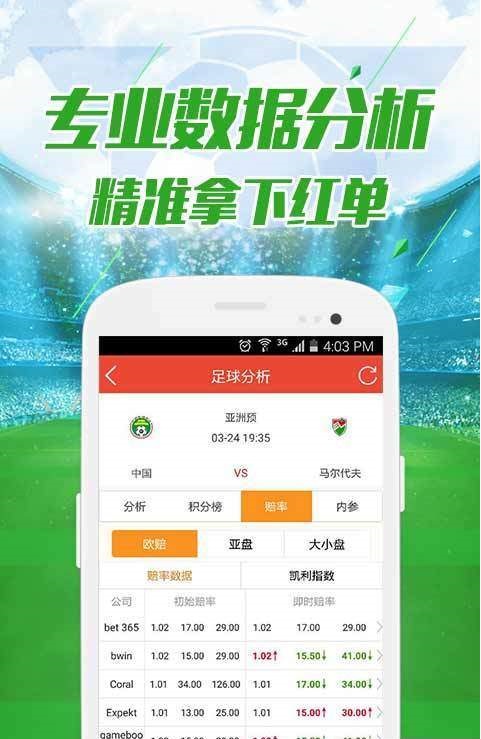 2043年澳门开奖结果王中王的传奇故事