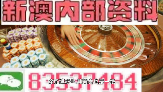 204澳门正版精准资料，揭秘未来趋势与风险