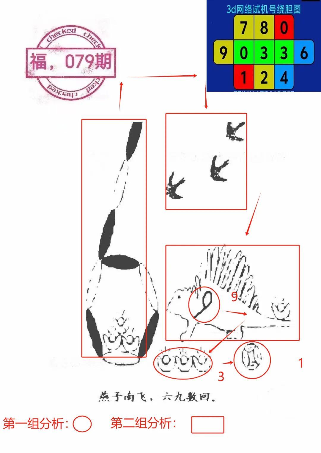 探索天牛3D图与红五图的奥秘，深度汇总与分析