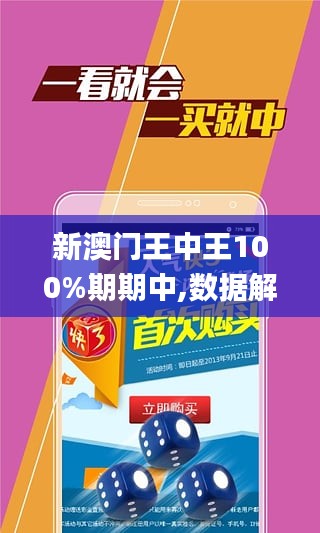 2048年新澳门王中王的传奇与展望
