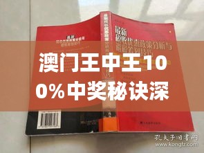 2046年新澳门王中王的传奇，揭秘与展望