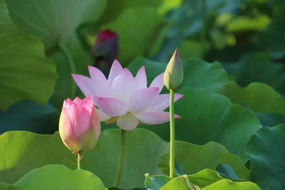 今晚揭晓，六开彩精彩纷呈，共赏幸运时刻