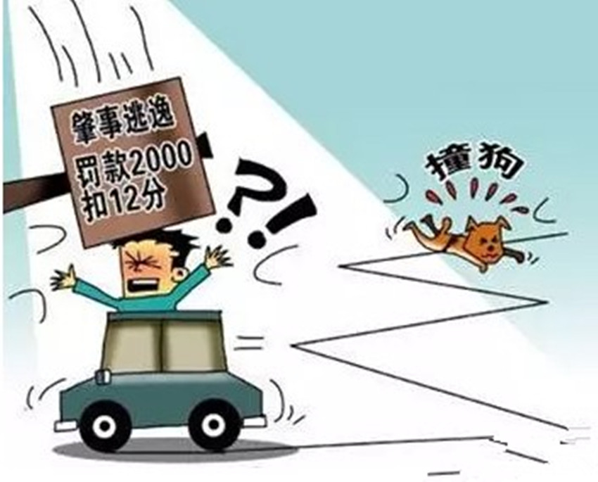澳门今晚必中一码的真相，理性与现实的碰撞