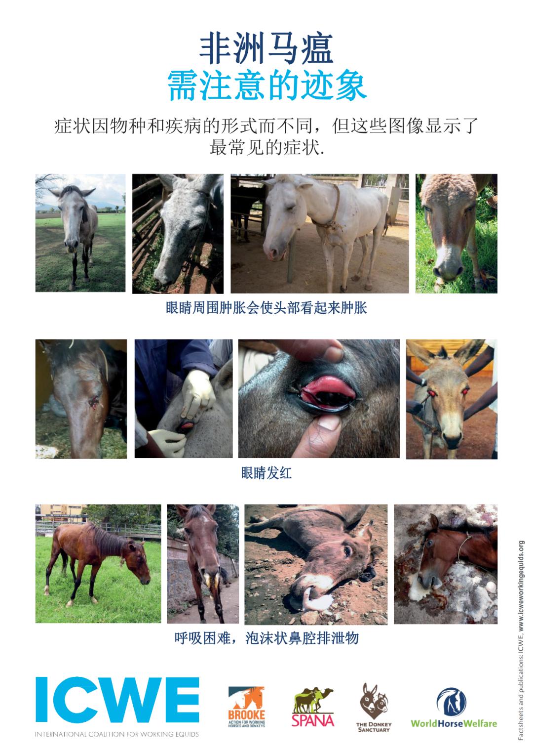 揭秘特马资料，精准预测的背后