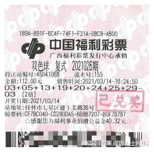 澳门今晚必中一码的真相，理性看待彩票与娱乐
