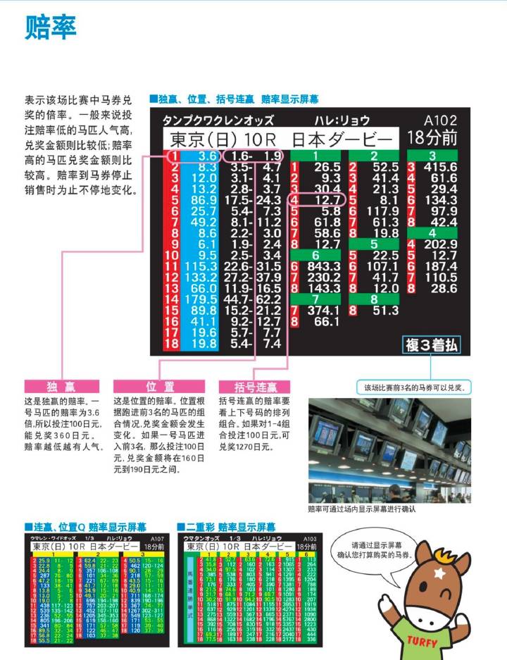 揭秘马会传真资料网站论坛，赛马的智慧与激情交汇处