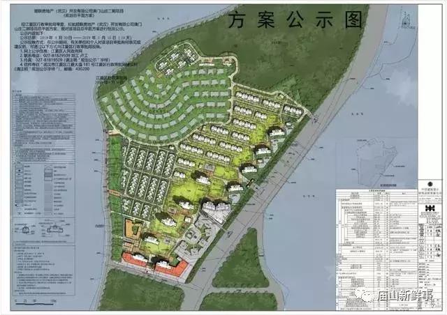 2043年新澳门今晚特马直播，数字时代的幸运之选